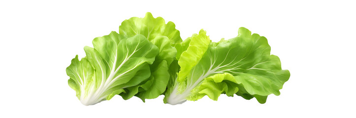 A crisp and vibrant image of fresh green lettuce leaves, isolated on a transparent background.