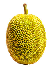 Delicious Jackfruit isolated on transparent background