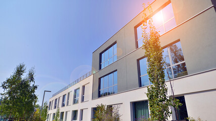 Eco building or green office plant tree and garden in city concept. Eco architecture. Green tree and office building. The harmony of nature and modernity.