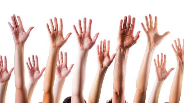 Eager Participation - Raised Hands Against White Background