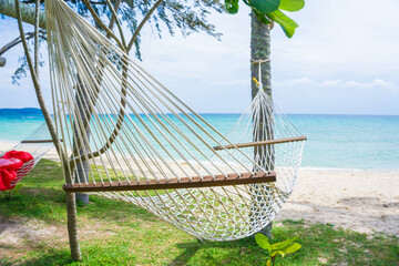 White cradle hold with palm tree on sea beach