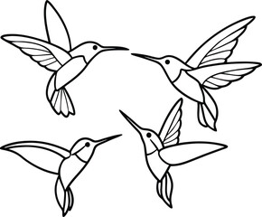 hummingbird and flower