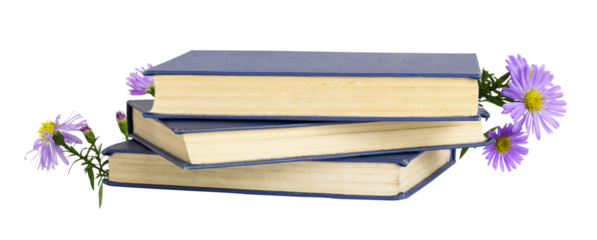 Three old books with blue cover and autumn purple aster flowers isolated on white or transparent background