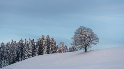 Sunset in the german alps in winter