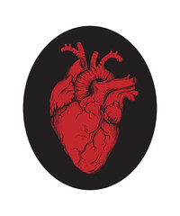 Human heart anatomically correct hand drawn line art and dotwork. Flash tattoo or print design vector illustration