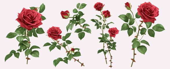 Watercolor Cottage Core Roses