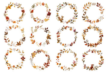 PNG autumn flower embroidery design element set, transparent background