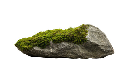 A natural rock covered with vibrant green moss, showcasing the beauty of nature and the environment.
