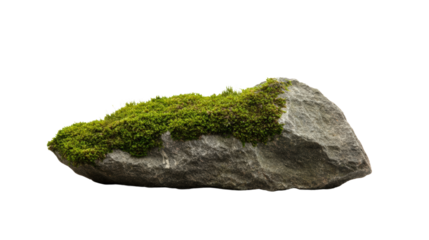 A natural rock covered with vibrant green moss, showcasing the beauty of nature and the environment.