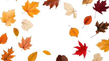 A vibrant array of autumn leaves displaying rich colors of red, orange, and yellow against a dark background.