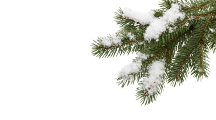 Snow-covered pine branch depicting winter beauty and holiday spirit, perfect for seasonal designs and festive themes.