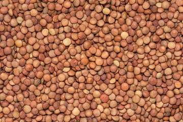 Uncooked brown lentils texture background