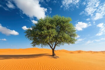 Fototapeta premium A Single Tree Stands Tall in a Vast Desert Landscape