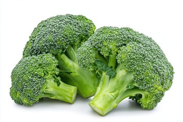 Broccoli isolated on white background