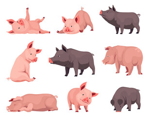 Pig set flat cartoon isolated on white background. Black and pink pigs  illustration