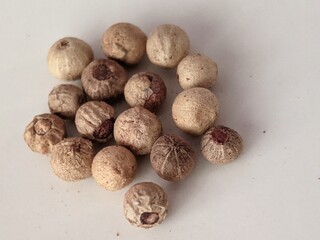 close up of white peppers 