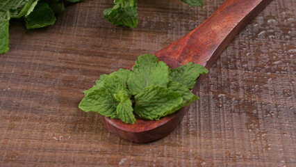 Fresh green mint leaves, Concept healthy diet.