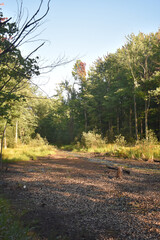 Marais Kingsbury 1 Septembre 2024