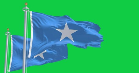 Somalia national flags waving in the wind isolated on green background