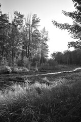 Marais Kingsbury 1 Septembre 2024