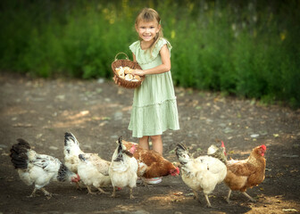 child feeding chickens, girl and hens,A little girl with her chikens,funny childhood