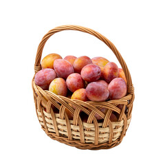 Beautiful ripe sweet plums in a basket isolated on transparent background. Close up.