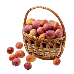 Beautiful ripe sweet plums in a basket isolated on transparent background. Close up.
