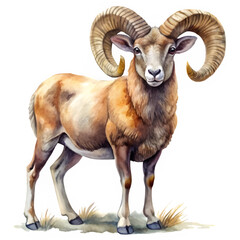 Ram animal, watercolor clipart illustration on transparent background.