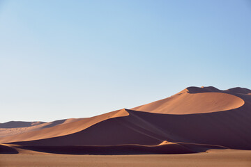 The evening light catches dunes in the Sossusvlei area, Namib-Naukluft National Park, Hardap Region, Namibia.