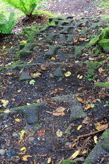 日本周遊　初秋の奥日光散策