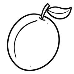 Hand drawn doodle plum with leaf on white background.