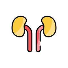 Kidneys vector icon