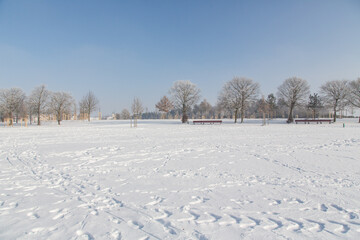 Winter landscape in Riem park, Munich, Bavaria, Germany: Silent and beautiful snow landscape in January with snow covered trees and tracks in the snow