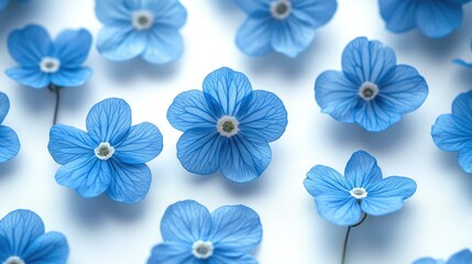 Small blue forget-me-nots arranged in a repeating pattern on white