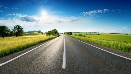 Fototapeta premium asphalt road panorama in countryside on sunny summer day