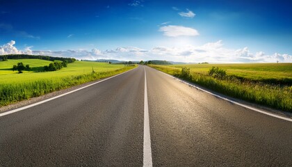 Fototapeta premium asphalt road panorama in countryside on sunny summer day