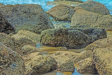 Close-up of overgrown stones on a sandy beach