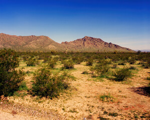 San Tan Mountains Sonora Desert Arizona On Film