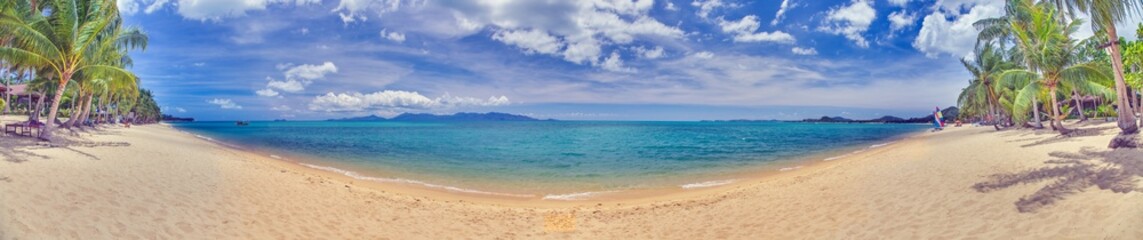 Panoramic picture of a deserted, palm-covered, tropical sandy beach