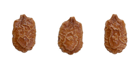 Three mature seeds of bitter melon (momordica charantia) isolated on white. 