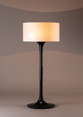 A contemporary floor lamp with a sleek black base and white shade, casting soft light, isolated on a light grey background.