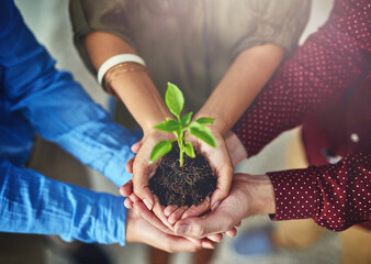 Hands, plant and soil with nature, growth and hope for teamwork and collaboration. People,...