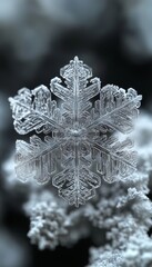 Close-up of a beautiful, intricate snowflake resting on a snowy surface, showcasing nature's winter artistry and delicate structure.