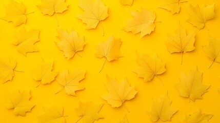 A yellow background with many leaves scattered across it. The leaves are yellow and appear to be paper
