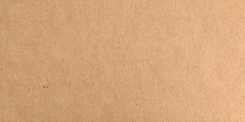 Brown Cardboard Texture Background. Photo made in high quality photo studio.