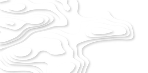 Abstract luxury white modern 3d papercut, topography map circle and wave line smooth multilayer pattern. vector white art papercut design Topographic geometric map relief texture with curved layers.