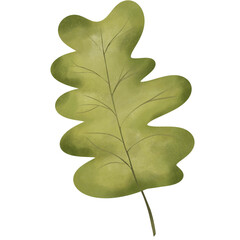 Autumn falling leaves , autumn color leaves