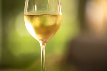 A chilled glass of crisp white wine catches the light, enhancing the mood of a leisurely summer day outdoors.