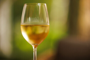 A full glass of chilled white wine with condensation rests on a table, framed by blurred green foliage.