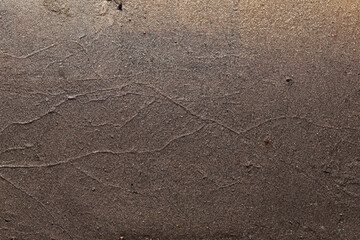 Stones on Wet Sand Beach - Top View